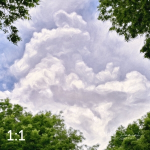 Wahoo Trail 712706-O4