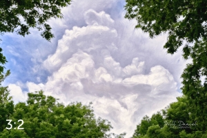 Wahoo Trail 712706-O4