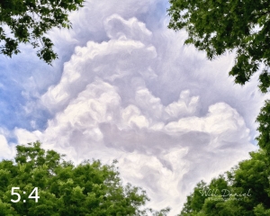 Wahoo Trail 712706-O4