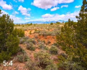 Taos Valley Overlook Trail 502874-WJ