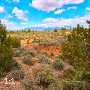Taos Valley Overlook Trail 502874-WJ
