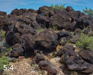 Petroglyph National Monument Volcanos Trail 712333-G2