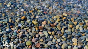 Marine View Park 5-S1