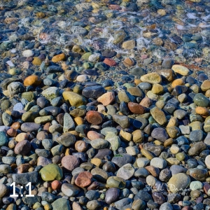 Marine View Park 5-S1