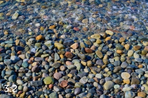 Marine View Park 5-S1