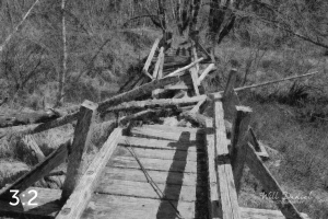 Beaver Lake Trail 81_N5