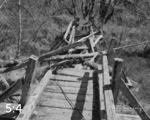 Beaver Lake Trail 81_N5