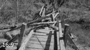 Beaver Lake Trail 81_N5