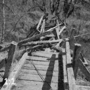 Beaver Lake Trail 81_N5