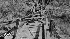 Beaver Lake Trail 81_IO