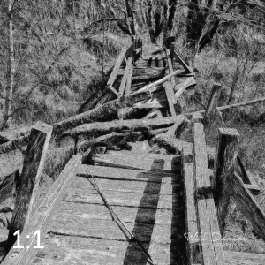 Beaver Lake Trail 81_IO