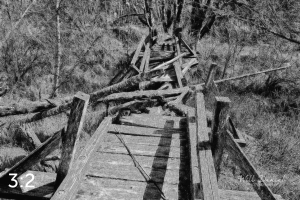 Beaver Lake Trail 81_IO