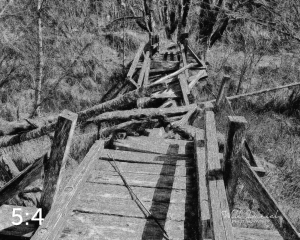 Beaver Lake Trail 81_IO