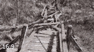 Beaver Lake Trail 81_IQ