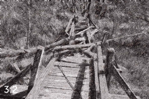 Beaver Lake Trail 81_IQ