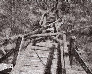 Beaver Lake Trail 81_IQ