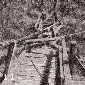 Beaver Lake Trail 81_IQ