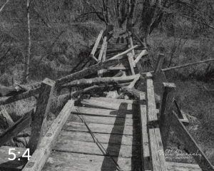 Beaver Lake Trail 81_W2