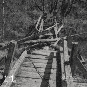 Beaver Lake Trail 81_W2