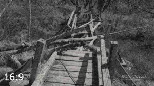 Beaver Lake Trail 81_W2