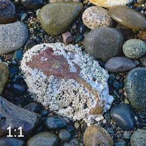 Marine View Park 11_I2