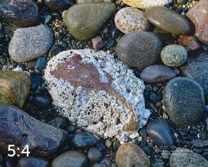 Marine View Park 11_I2