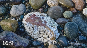 Marine View Park 11_I2