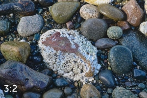 Marine View Park 11_I2