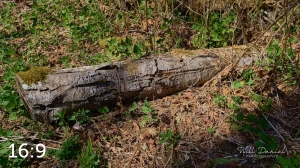 Beaver Lake Trail 88_G2