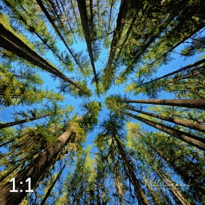 Beaver Lake Trail 98_I4