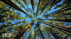 Beaver Lake Trail 98_I4