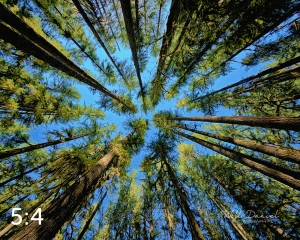 Beaver Lake Trail 98_I4