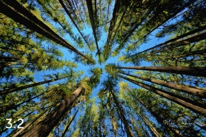 Beaver Lake Trail 98_I4