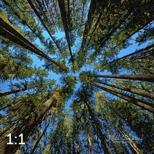 Beaver Lake Trail 98_IE