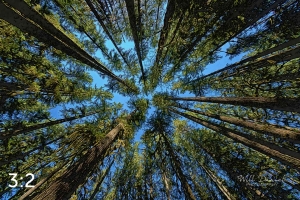 Beaver Lake Trail 98_IE