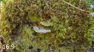 Rockport State Park 175_O4