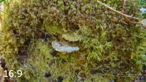 Rockport State Park 175_N2