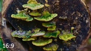 Beaver Lake Trail 131_G2