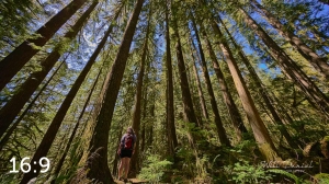 Rockport State Park 205_G2