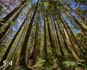 Rockport State Park 205_G2