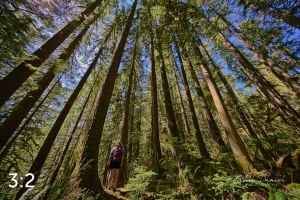 Rockport State Park 205_G2