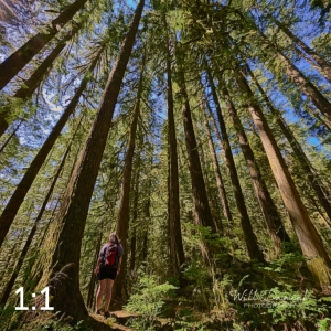 Rockport State Park 205_G2