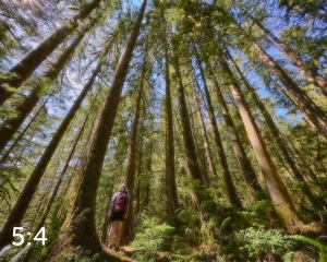 Rockport State Park 205_N1