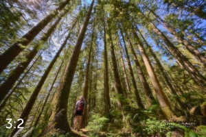 Rockport State Park 205_N1