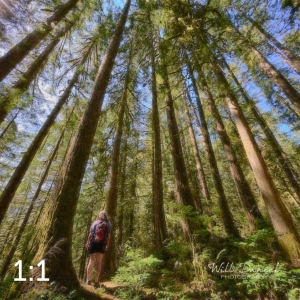 Rockport State Park 205_N1