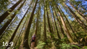 Rockport State Park 205_N1