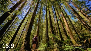 Rockport State Park 205_I4