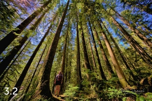 Rockport State Park 205_I4