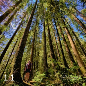 Rockport State Park 205_I4