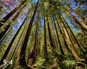 Rockport State Park 205_I4